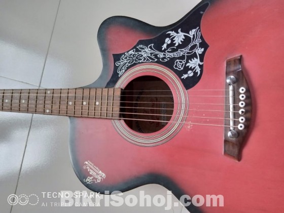 Signature Acoustic Guitar (Indian)